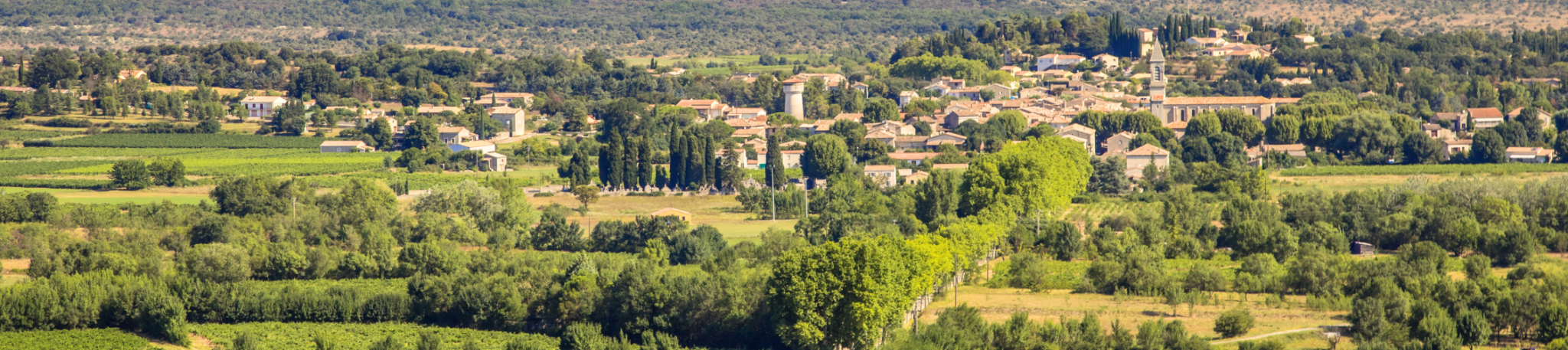 Restaurant écoresponsable en Occitanie valorisant les produits locaux