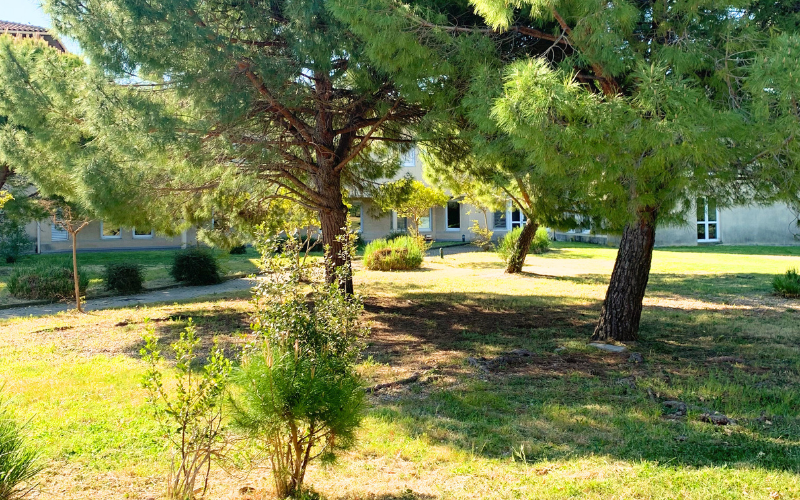Privatisation du jardin extérieur du restaurant Mas de Saporta pour un séminaire professionnel