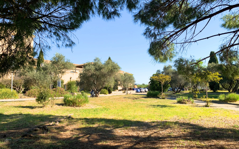 Location de l’espace jardin du restaurant Mas de Saporta pour un anniversaire