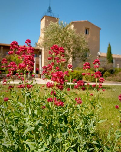 Jardin du Mas de Saporta Jardin verdoyant du Mas de Saporta, idéal pour événements en plein air